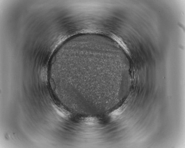 X0000094930204200712201100