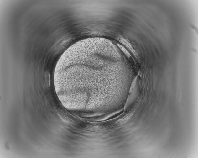 X0000094930205200712201100