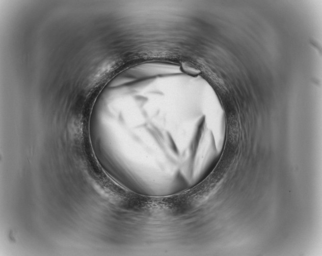 X0000094930207200712201100
