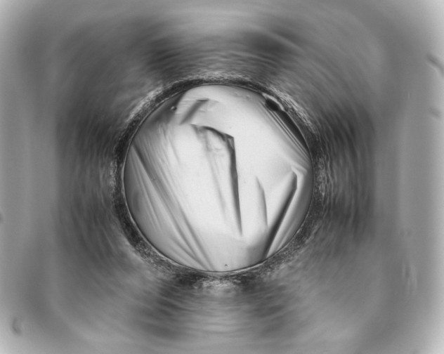 X0000094930208200712201100
