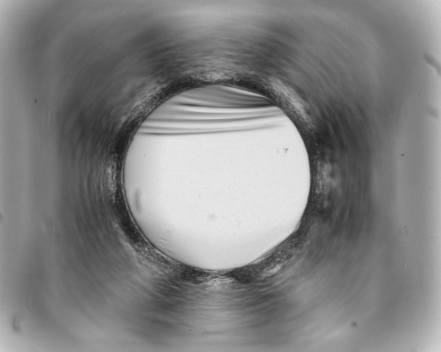 X0000094930210200712201100