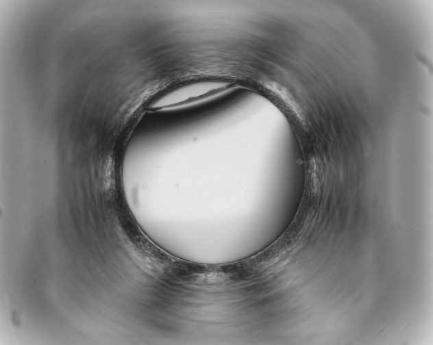 X0000094930212200712201100