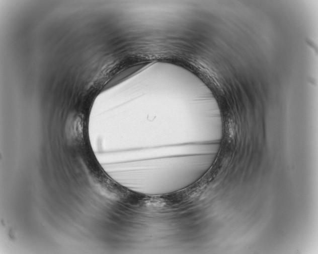 X0000094930214200712201100