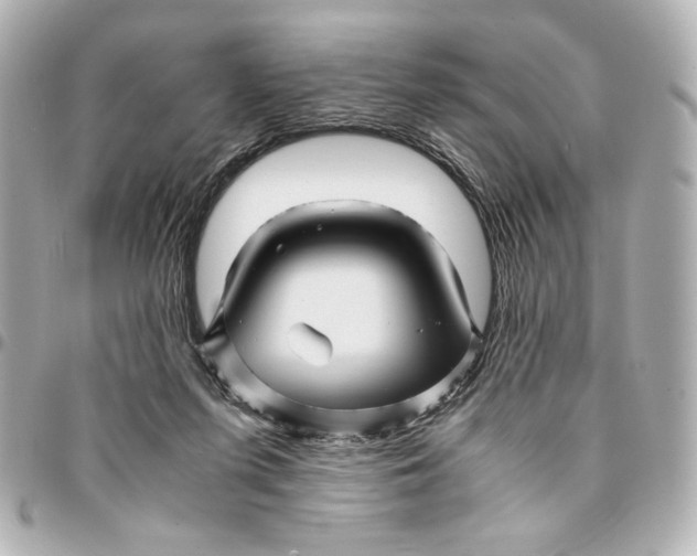 X0000094930215200712201100