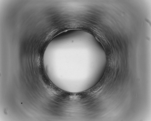 X0000094930216200712201100