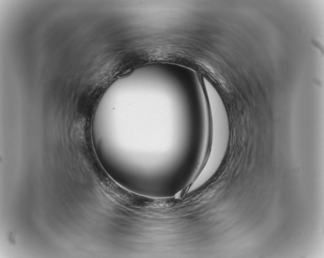X0000094930217200712201100