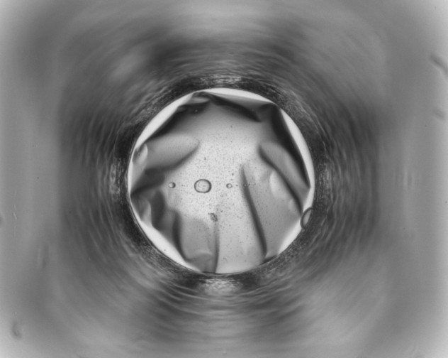 X0000094930218200712201100