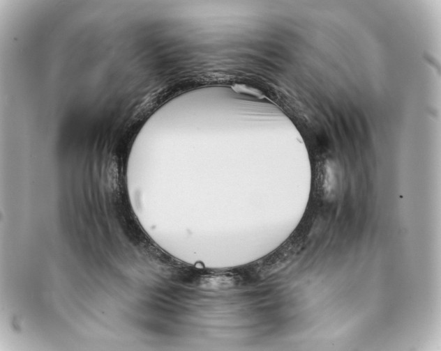 X0000094930220200712201100