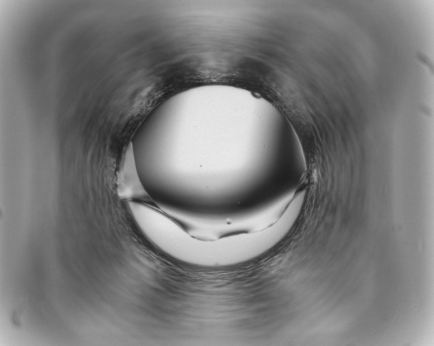 X0000094930221200712201100