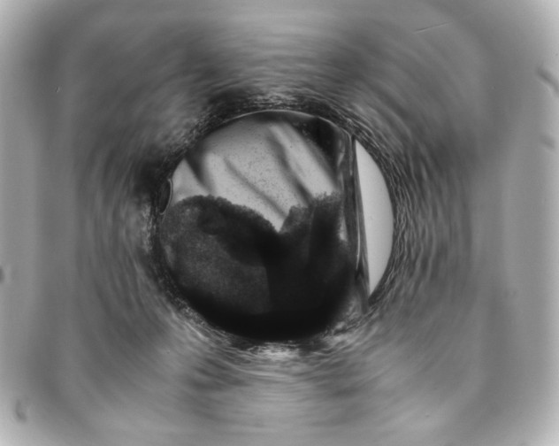 X0000094930223200712201100