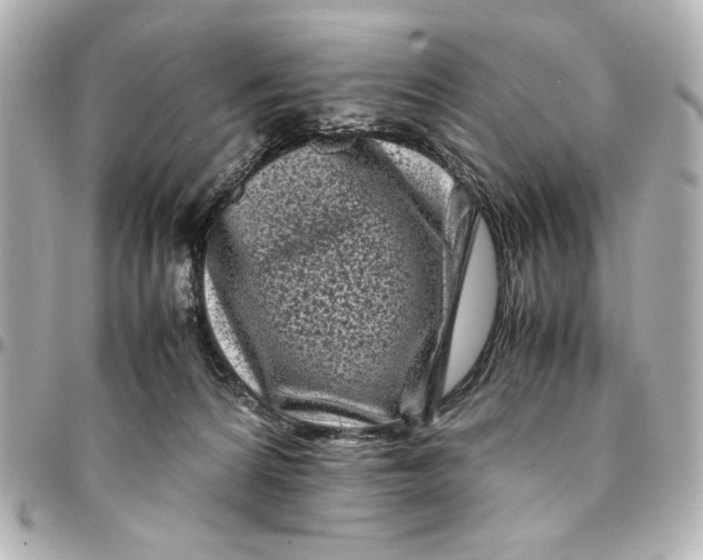 X0000094930224200712201100