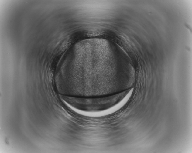 X0000094930227200712201100