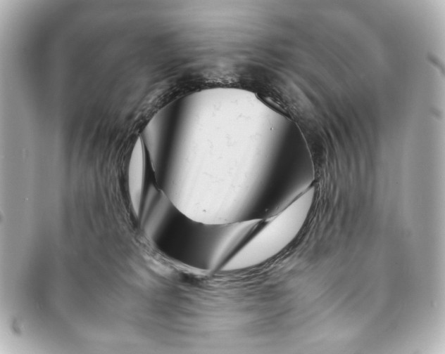 X0000094930229200712201100