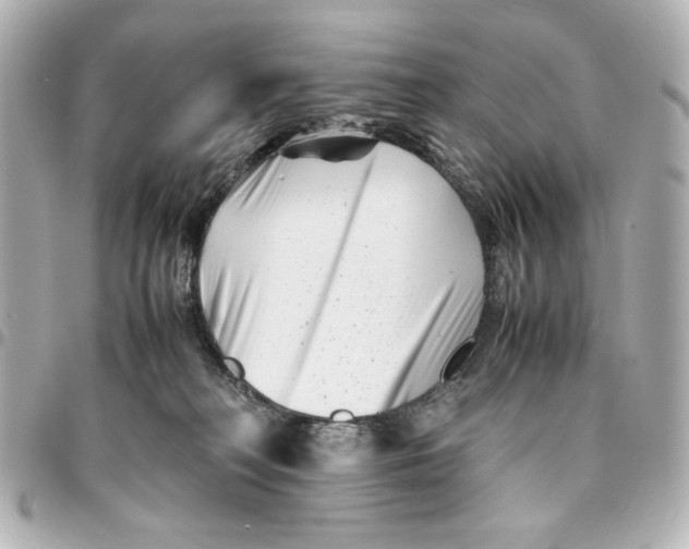 X0000094930230200712201100