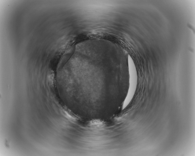 X0000094930231200712201100