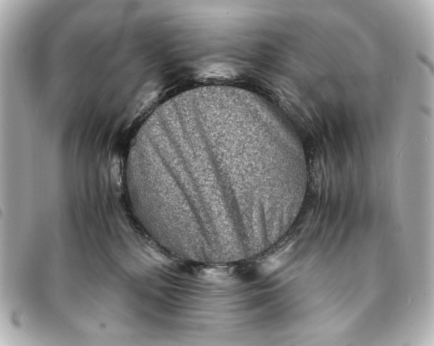 X0000094930232200712201100