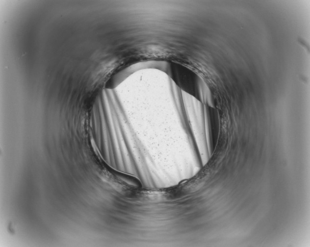 X0000094930233200712201100