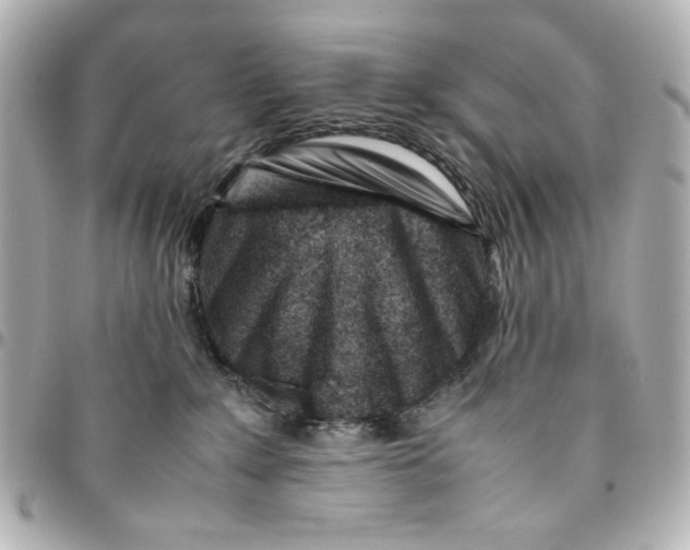 X0000094930235200712201100
