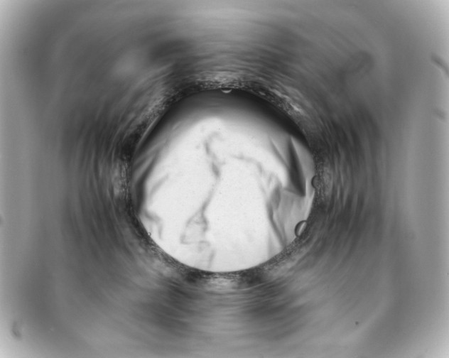X0000094930236200712201059