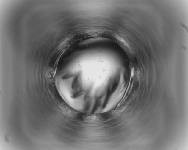 X0000094930237200712201059