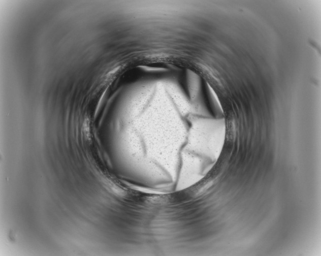 X0000094930238200712201059