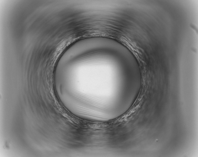 X0000094930241200712201059
