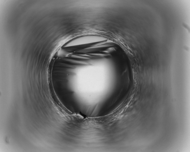 X0000094930244200712201059