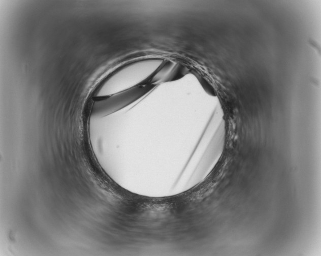 X0000094930247200712201059