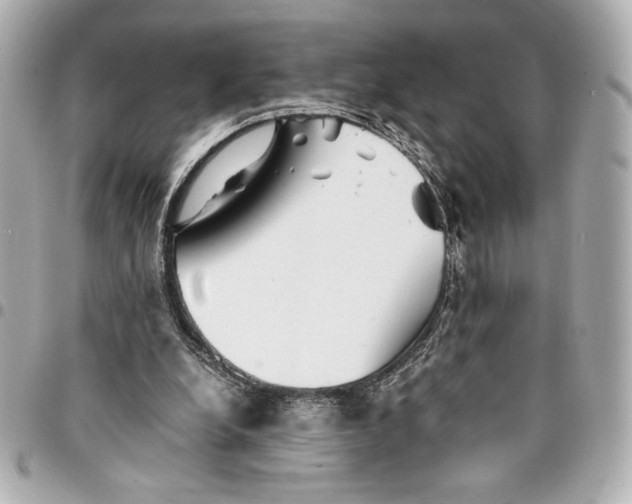 X0000094930248200712201059
