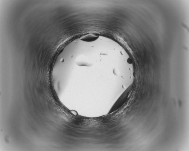 X0000094930249200712201059