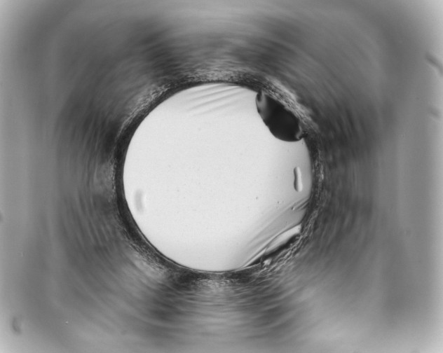 X0000094930250200712201059