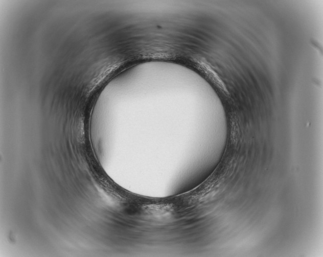 X0000094930251200712201059