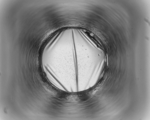 X0000094930252200712201059