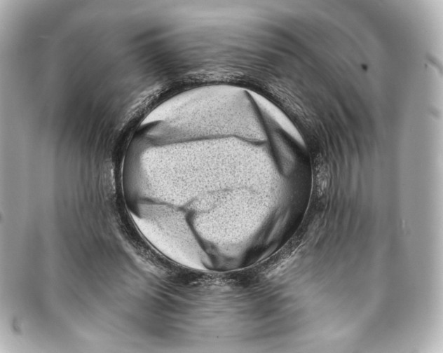 X0000094930254200712201059