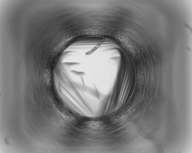 X0000094930255200712201059