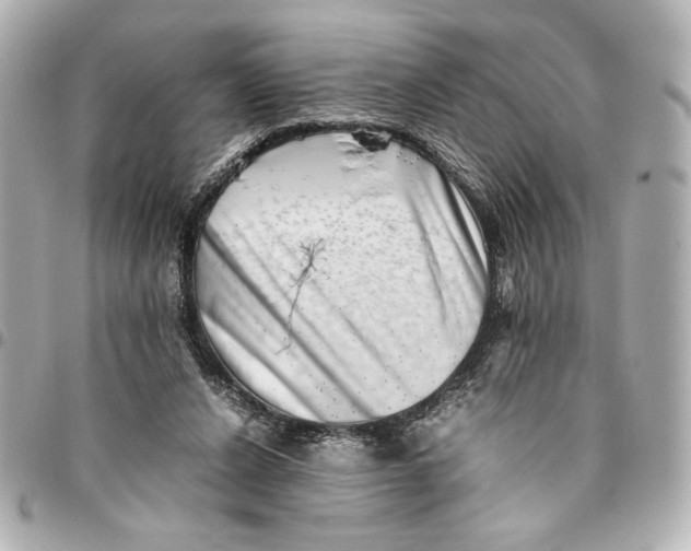 X0000094930256200712201059