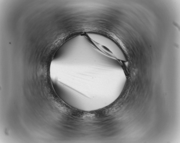 X0000094930257200712201059