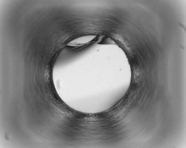 X0000094930259200712201059