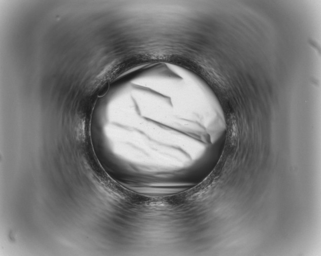 X0000094930262200712201059