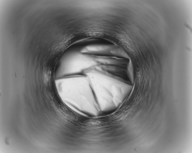 X0000094930263200712201059