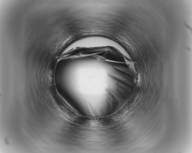 X0000094930264200712201059