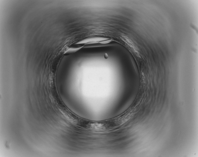 X0000094930265200712201059