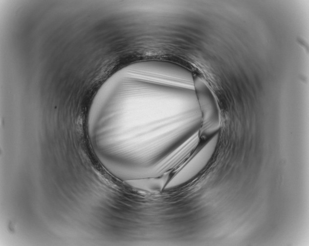 X0000094930269200712201059