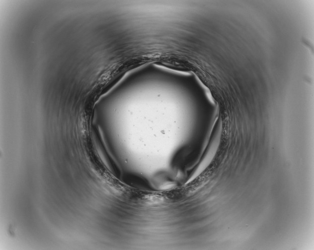 X0000094930272200712201059