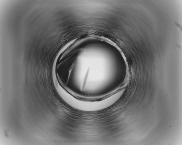 X0000094930274200712201059