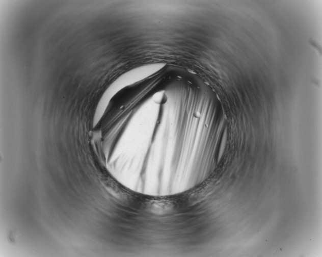 X0000094930275200712201059