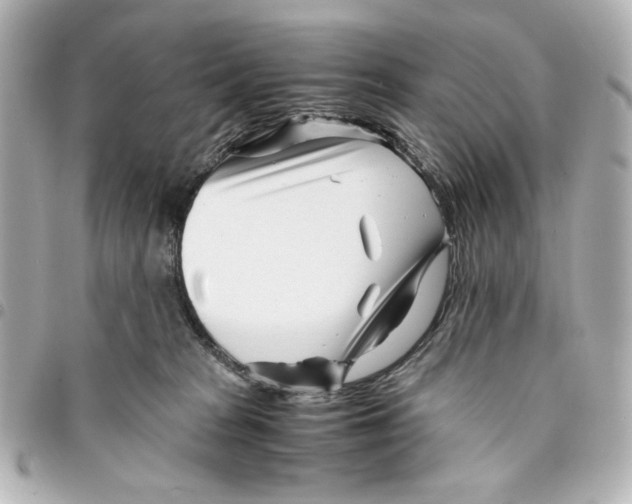 X0000094930277200712201059