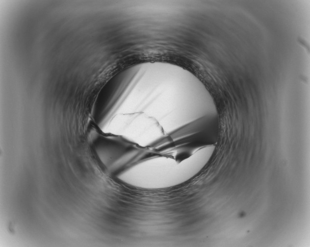X0000094930278200712201059