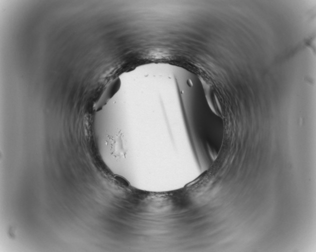 X0000094930280200712201059