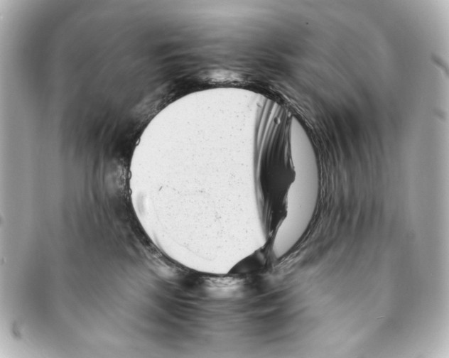 X0000094930281200712201059